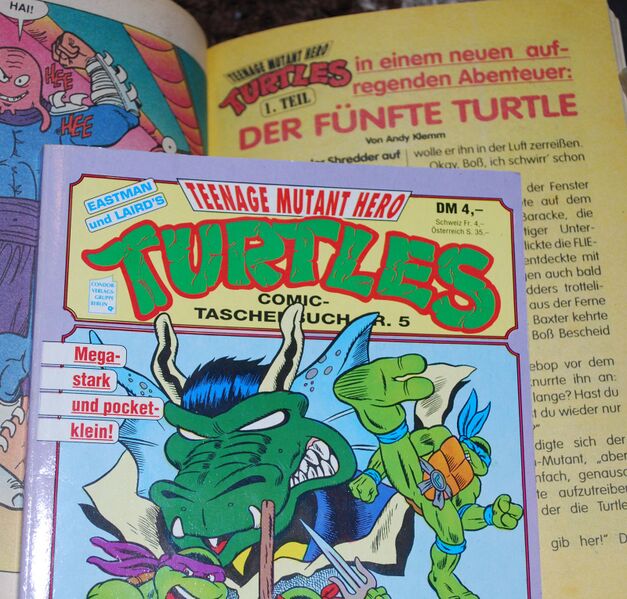 Datei:Turtles.jpg